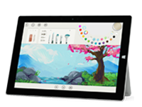 沧源Surface 无法开启、Windows 无法启动或电池无法充电